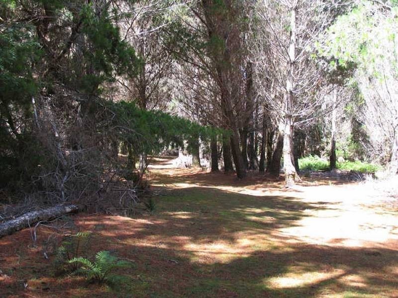 Corrina Road, Waratah TAS 7321