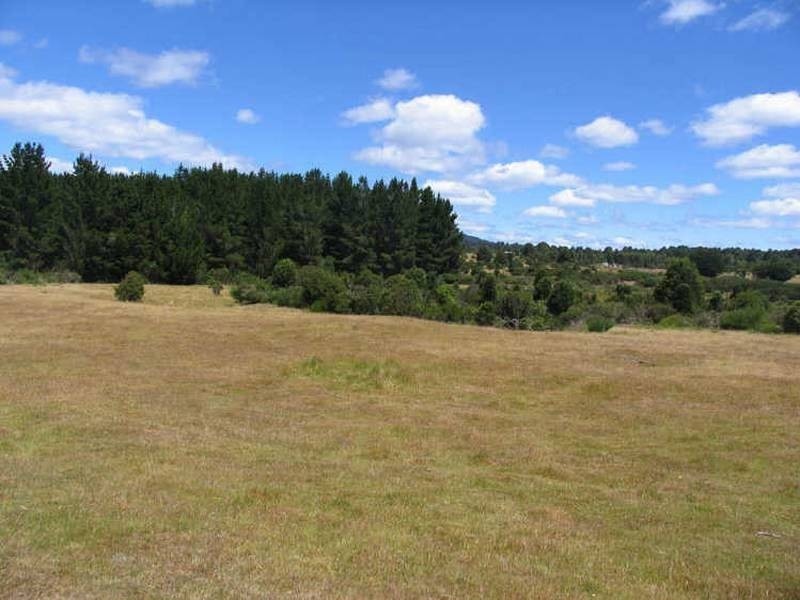 Corrina  Road, Waratah TAS 7321