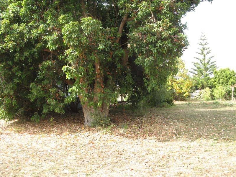 56 South Road, Penguin TAS 7316