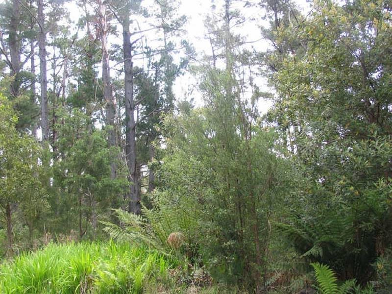 Lot 123 6 Lyell Highway, Strahan TAS 7468