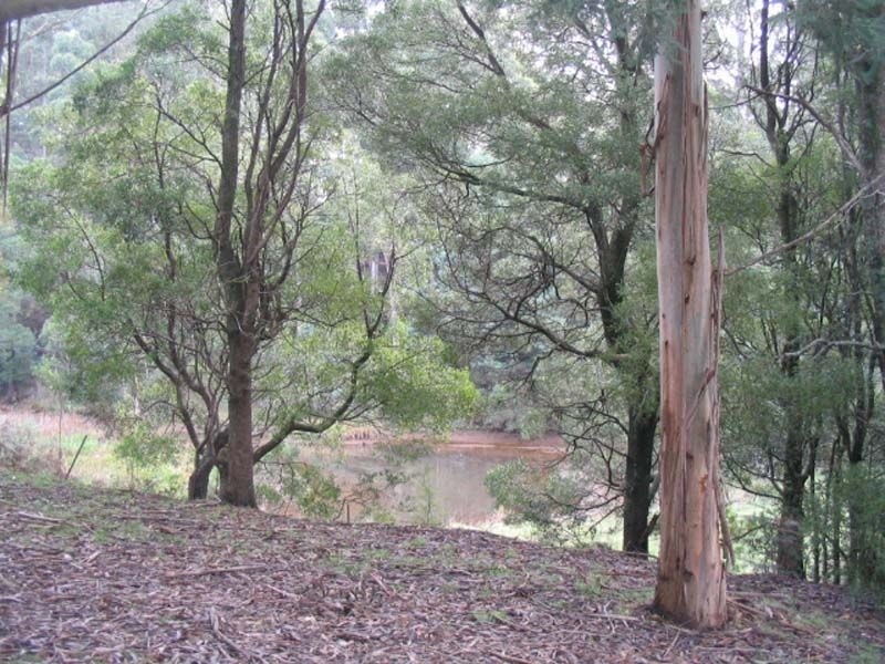388 Back Cam Road, Somerset TAS 7322