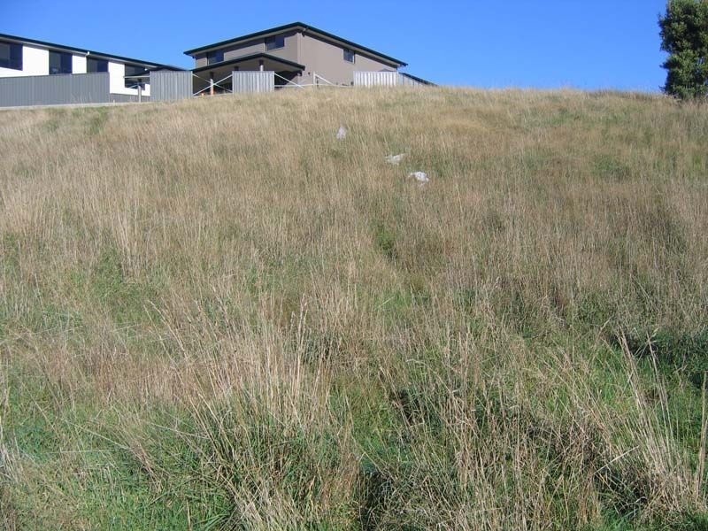 20 Dowling Drive, Burnie TAS 7320