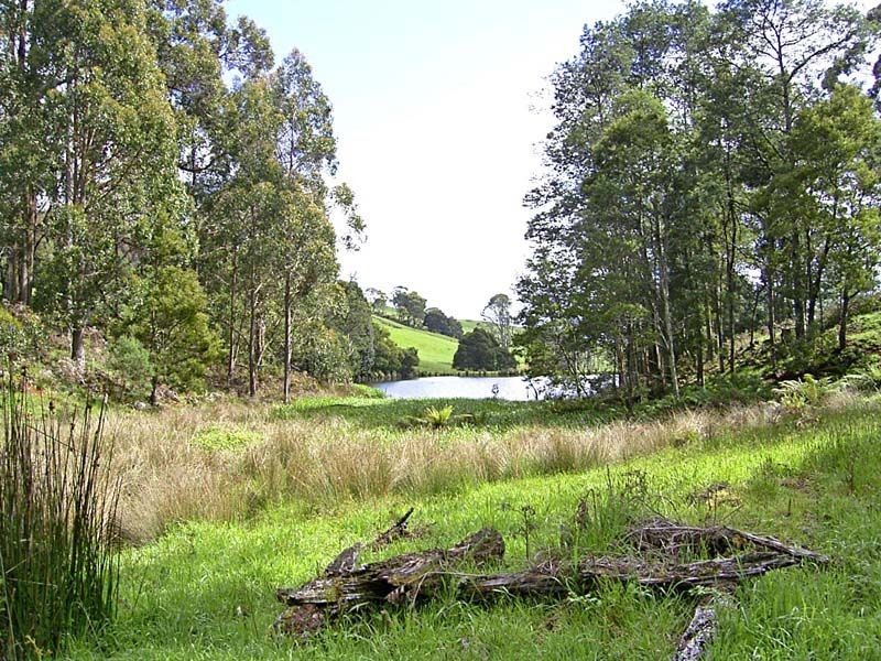 59 South Riana Road, Natone TAS 7321