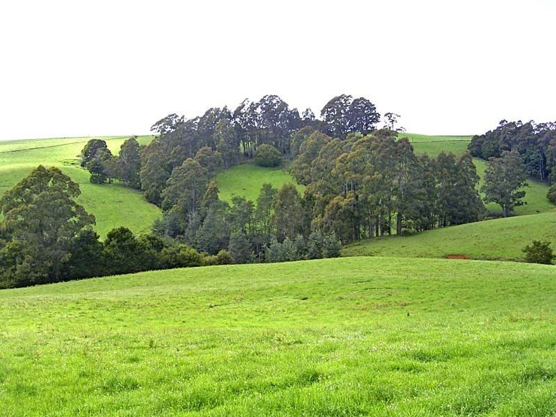 59 South Riana Road, Natone TAS 7321