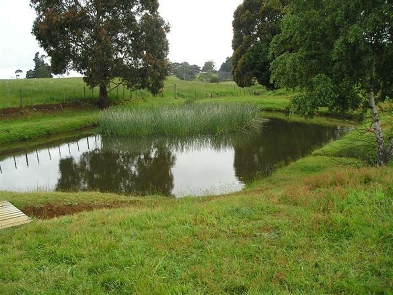 882 Ridgley Highway, Ridgley TAS 7321