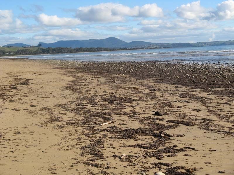 4/58-60 Susan Street, Turners Beach TAS 7315