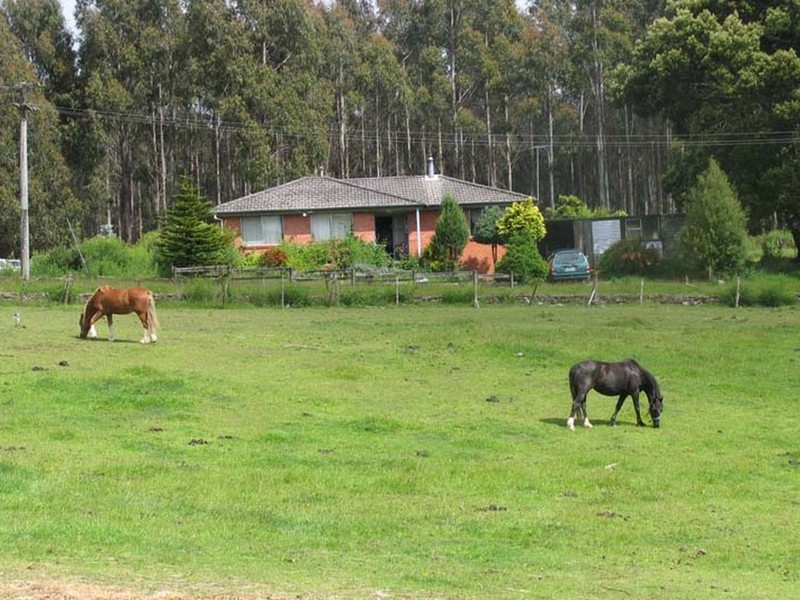 1444 Oonah Road, Tewkesbury TAS 7321