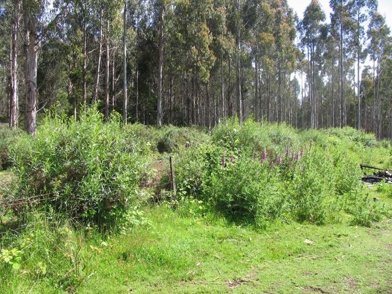 1444 Oonah Road, Tewkesbury TAS 7321