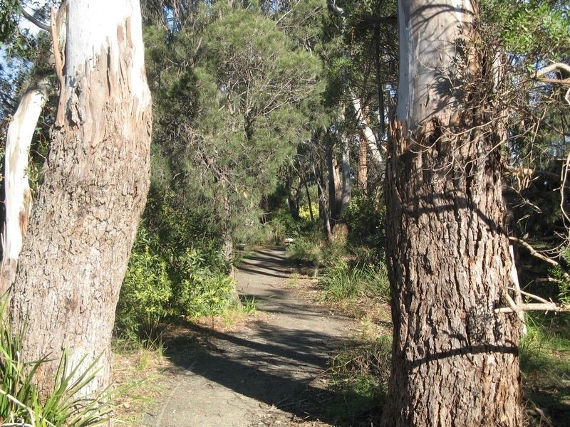 5/58-60 Susan Street, Turners Beach TAS 7315