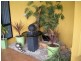 12 Boston Avenue, Burnie TAS 7320
