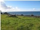 108A Main Road, Penguin TAS 7316