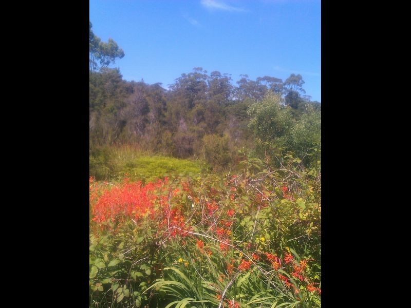 4 Trafford Street, Strahan TAS 7468