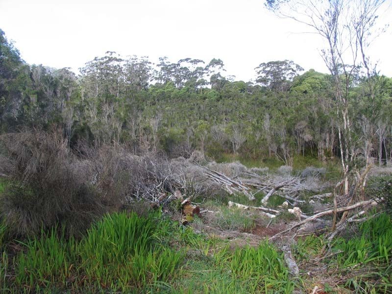 4 Trafford Street, Strahan TAS 7468
