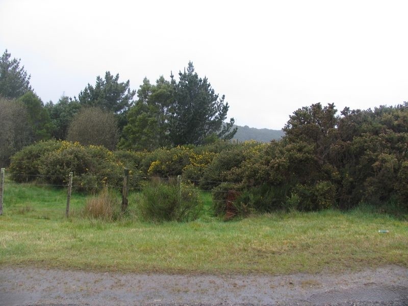 Lot 3 Hurst Street, Zeehan TAS 7469