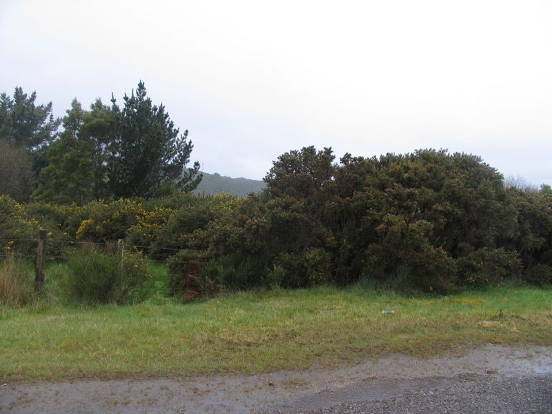 Lot 3 Hurst Street, Zeehan TAS 7469