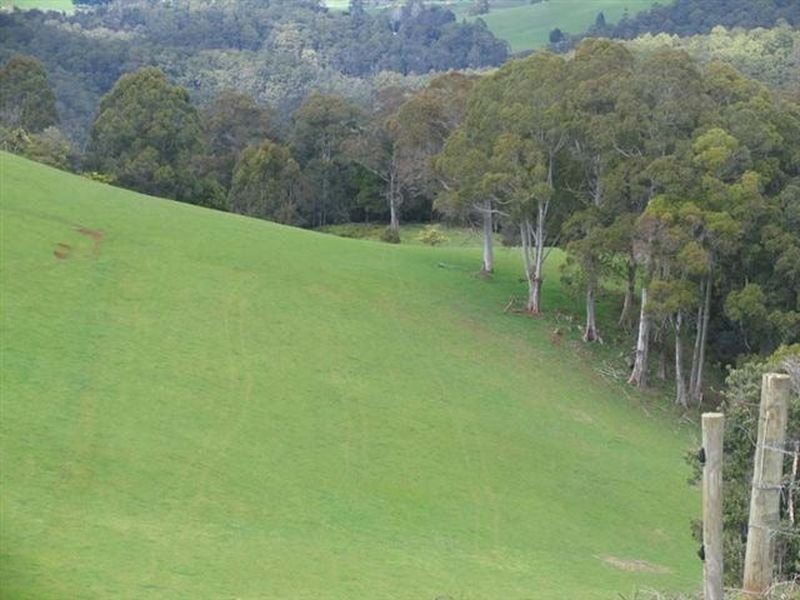 49 Sushames Road, Cuprona TAS 7316