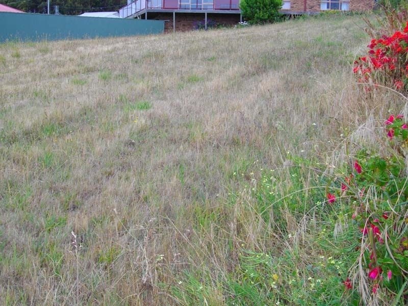 194 Main Road, Penguin TAS 7316