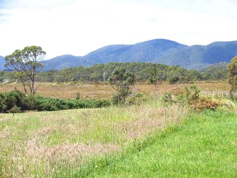 21 Packer Street, Zeehan TAS 7469