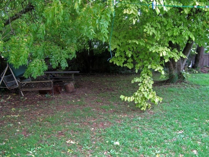 31 George Street, Ridgley TAS 7321