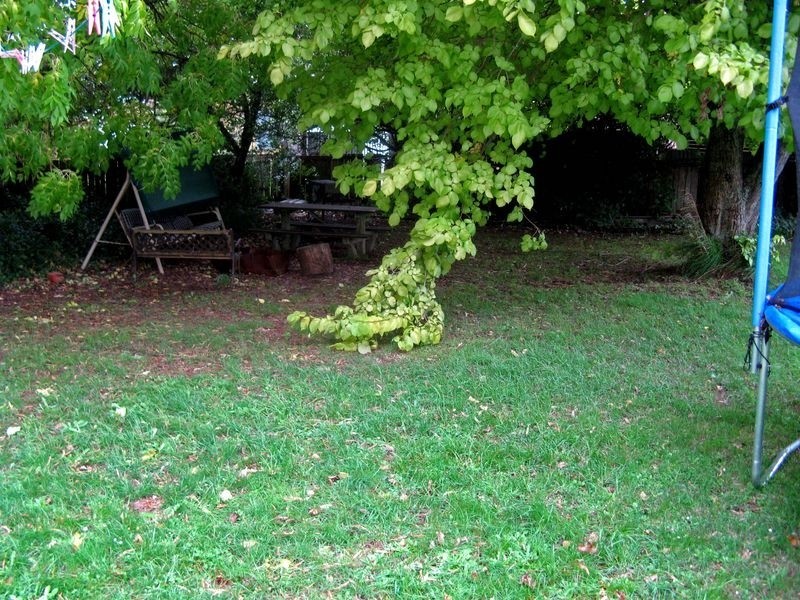 31 George Street, Ridgley TAS 7321