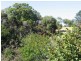 13 Paraka Street, Burnie TAS 7320