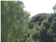 13 Paraka Street, Burnie TAS 7320