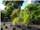40 Falmouth Street, Somerset TAS 7322