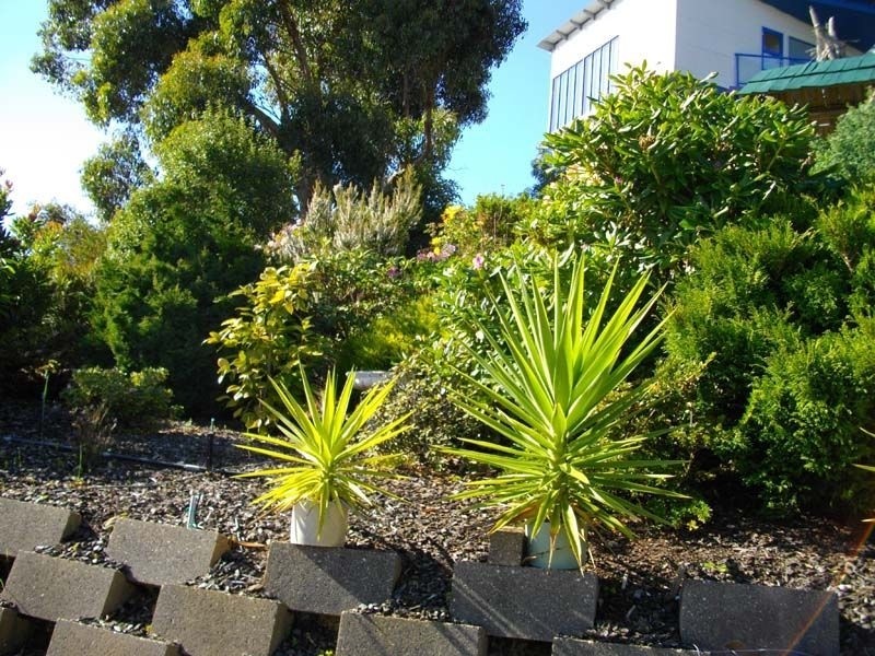 40 Falmouth Street, Somerset TAS 7322