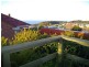 223 Mount Street, Burnie TAS 7320