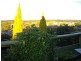 223 Mount Street, Burnie TAS 7320