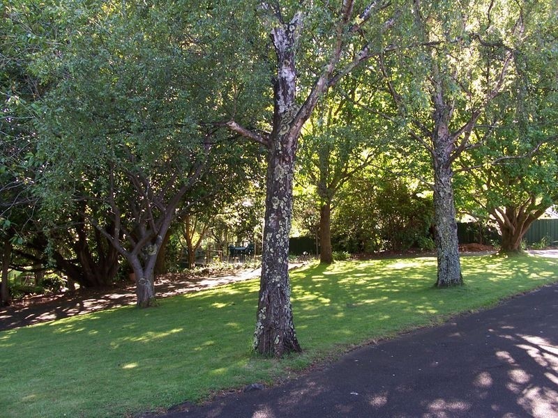 97 West Park Grove, Burnie TAS 7320