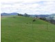 49 Sushames Road, Cuprona TAS 7316