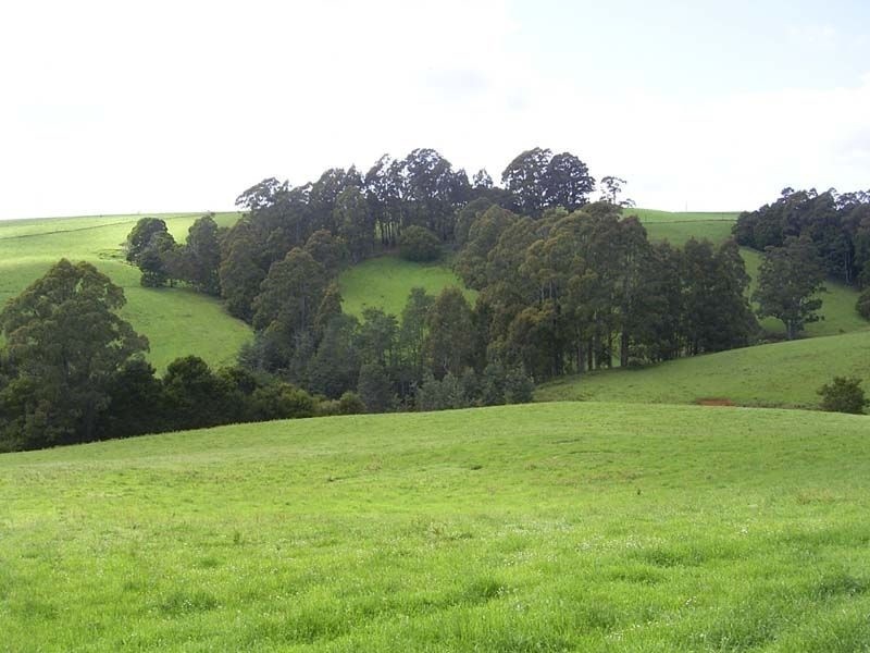 59 South Riana Road, Natone TAS 7321