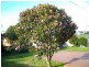 17 Curraghmore Avenue, Burnie TAS 7320