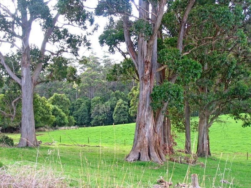 301 West Mooreville Road, Burnie TAS 7320