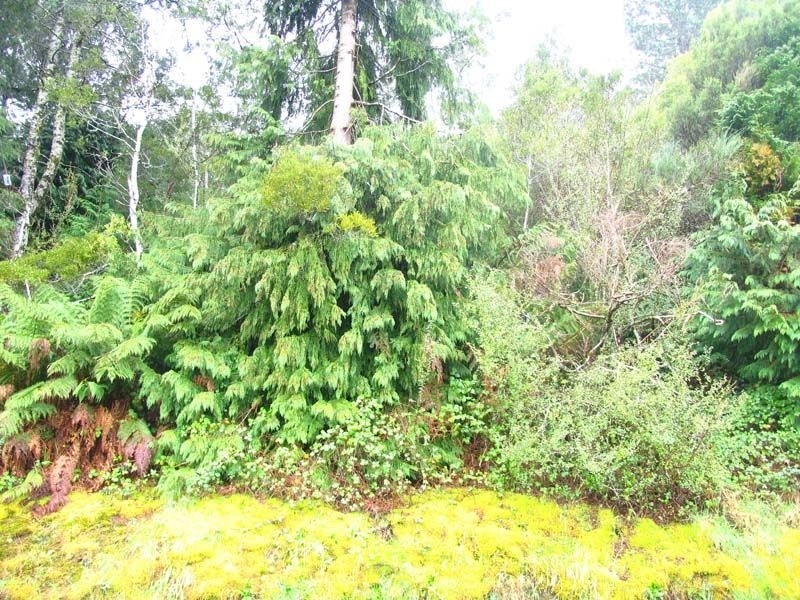 Jenico Street, Queenstown TAS 7467