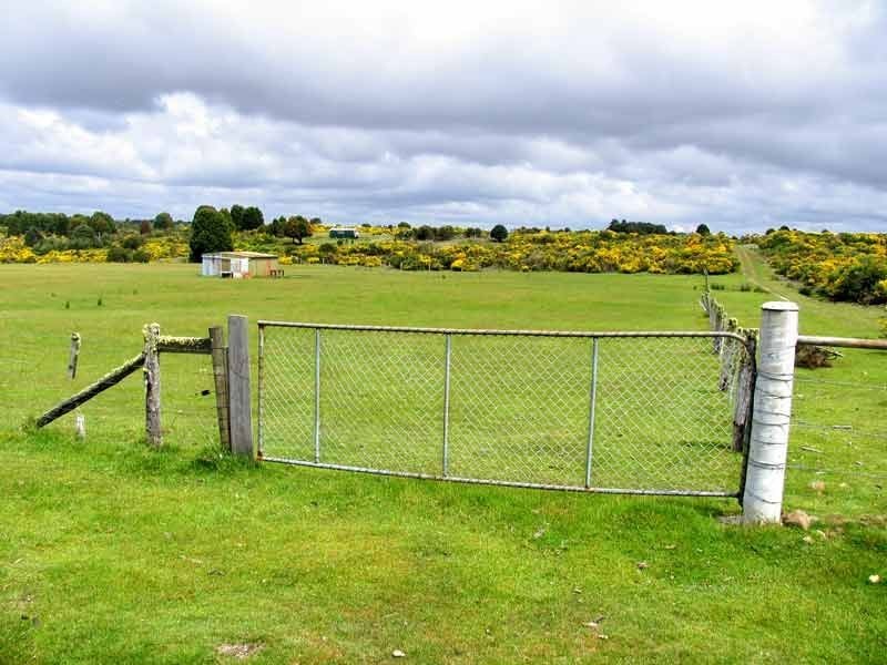 64 English Street, Waratah TAS 7321