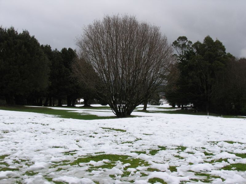 64 English Street, Waratah TAS 7321