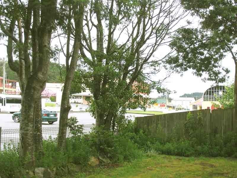 19 Railway Reserve, Queenstown TAS 7467