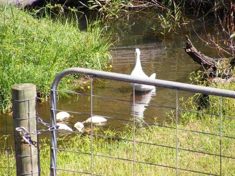 27 Swanston Street, Burnie TAS 7320