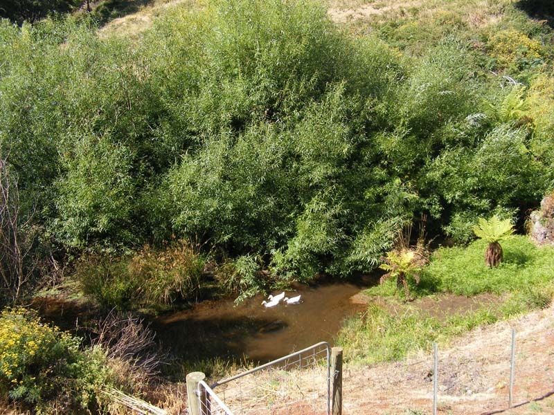 27 Swanston Street, Burnie TAS 7320