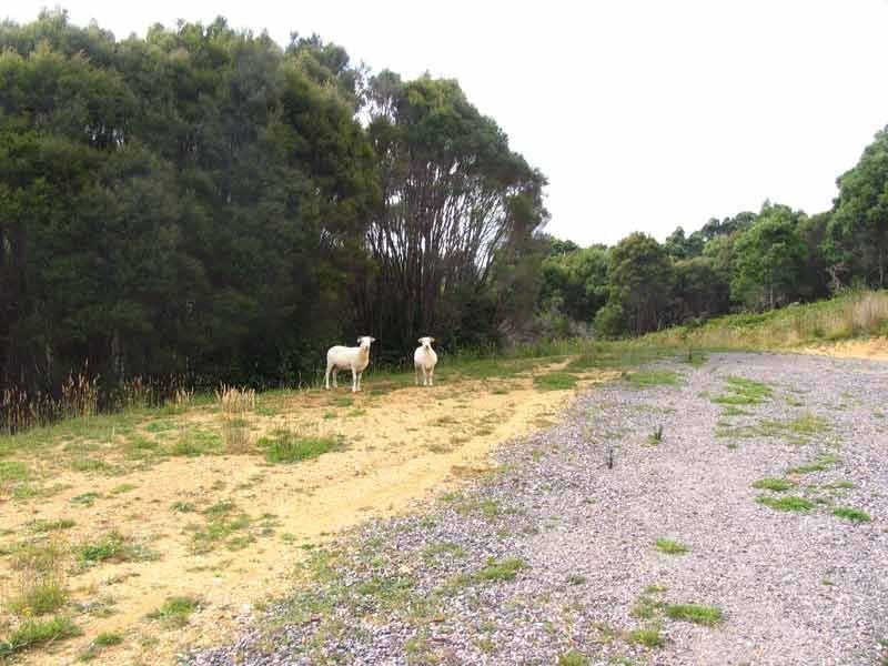 - Lynchford Road, Queenstown TAS 7467