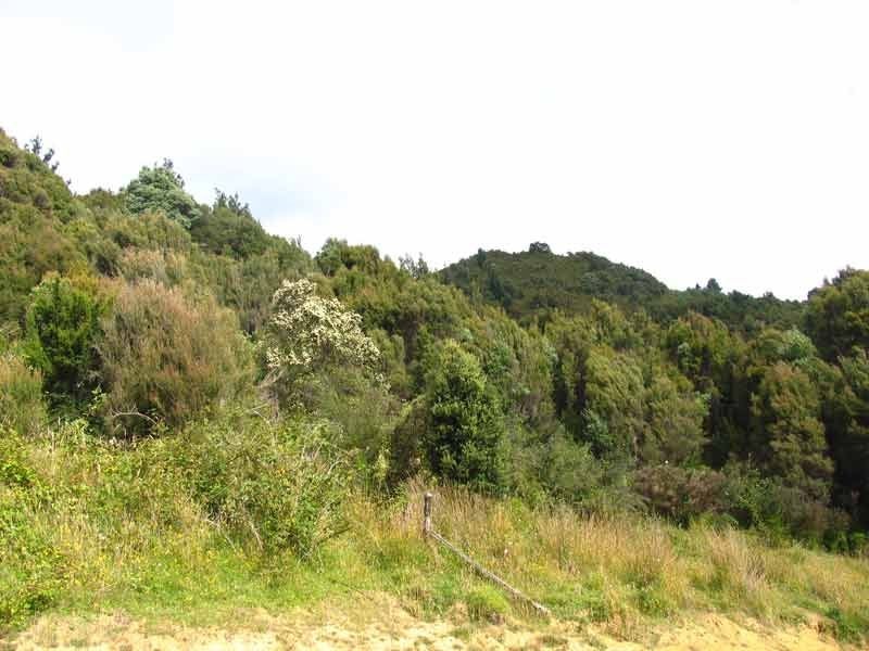 - Lynchford Road, Queenstown TAS 7467