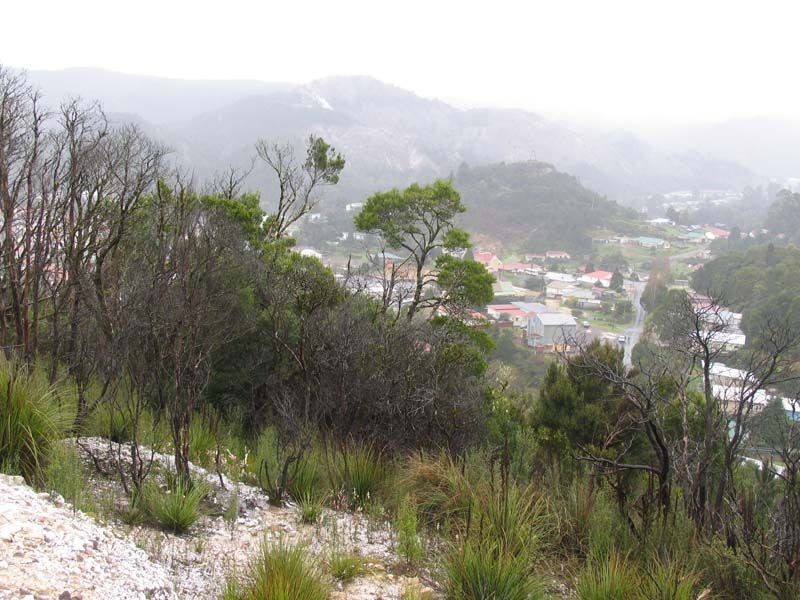54 Crotty Street, Queenstown TAS 7467