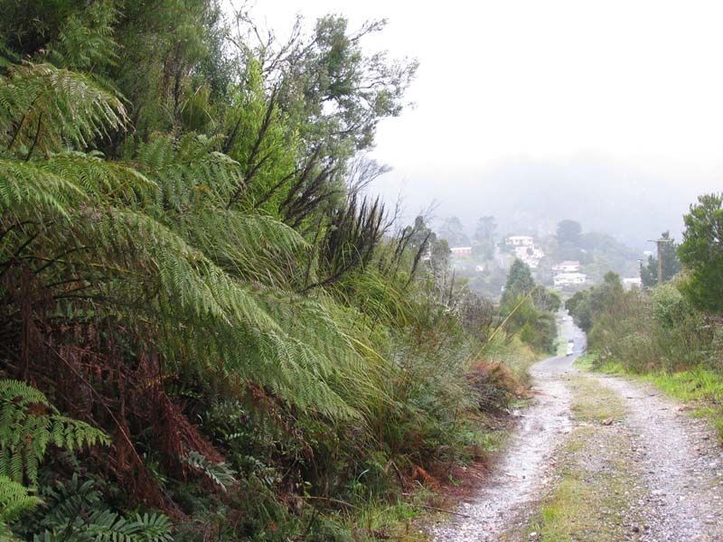 54 Crotty Street, Queenstown TAS 7467