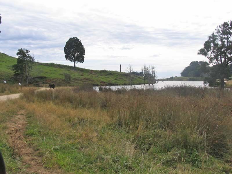 519 Upper Stowport Road, Stowport TAS 7321
