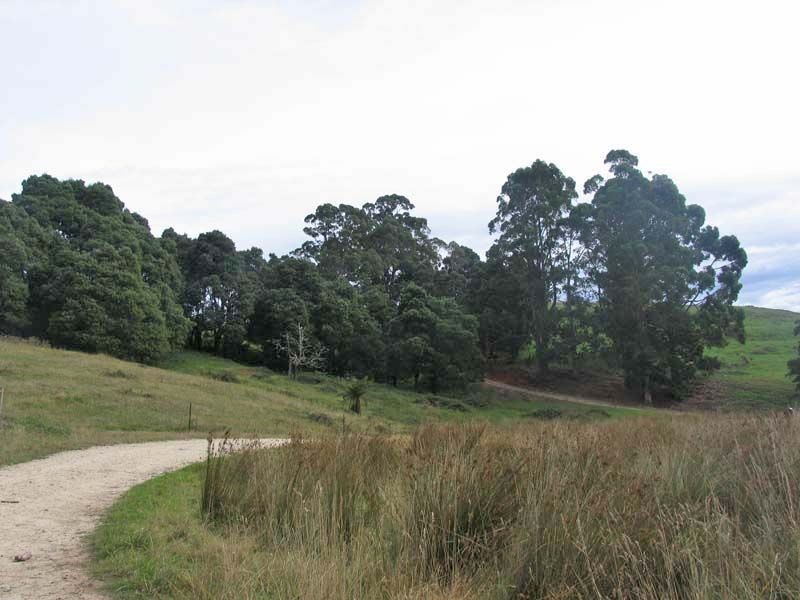 519 Upper Stowport Road, Stowport TAS 7321