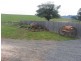 519 Upper Stowport Road, Stowport TAS 7321