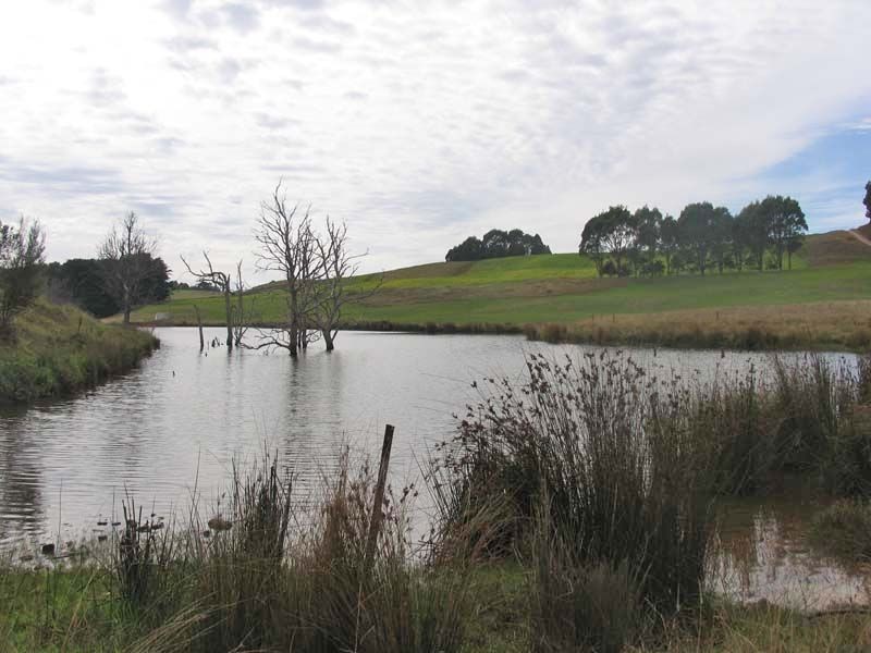 519 Upper Stowport Road, Stowport TAS 7321