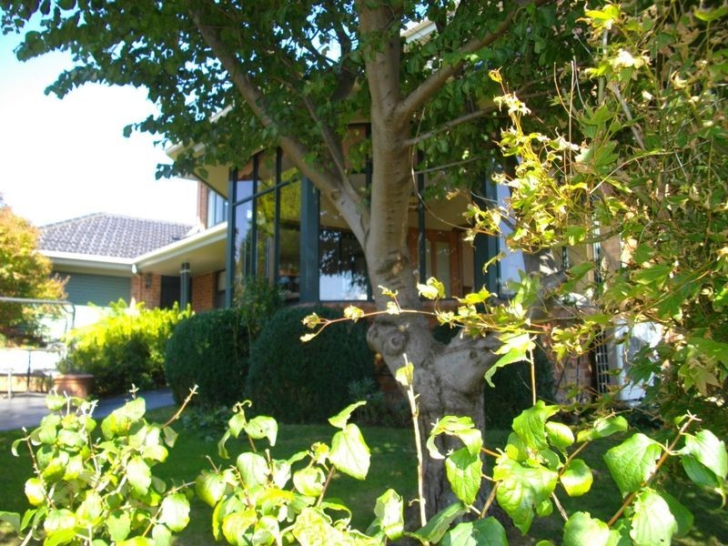 24 Stevens Place, Burnie TAS 7320